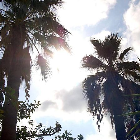 Willa Il Giardino Del Sole Agnone Bagni Zewnętrze zdjęcie