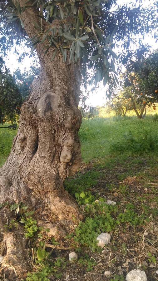 Willa Il Giardino Del Sole Agnone Bagni Zewnętrze zdjęcie