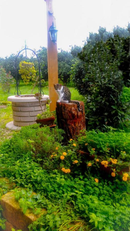 Willa Il Giardino Del Sole Agnone Bagni Zewnętrze zdjęcie
