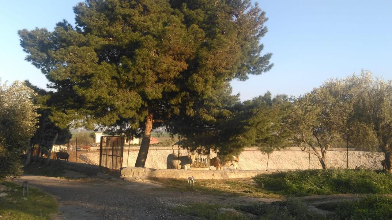 Willa Il Giardino Del Sole Agnone Bagni Zewnętrze zdjęcie