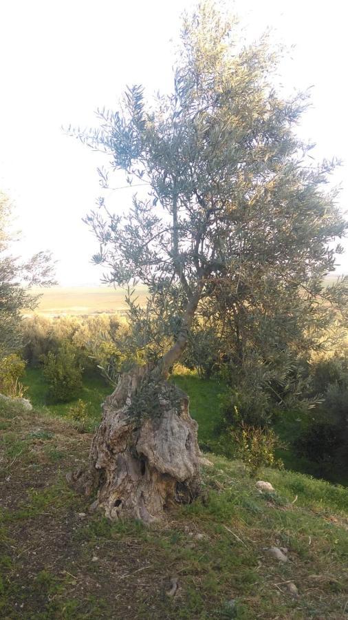 Willa Il Giardino Del Sole Agnone Bagni Zewnętrze zdjęcie