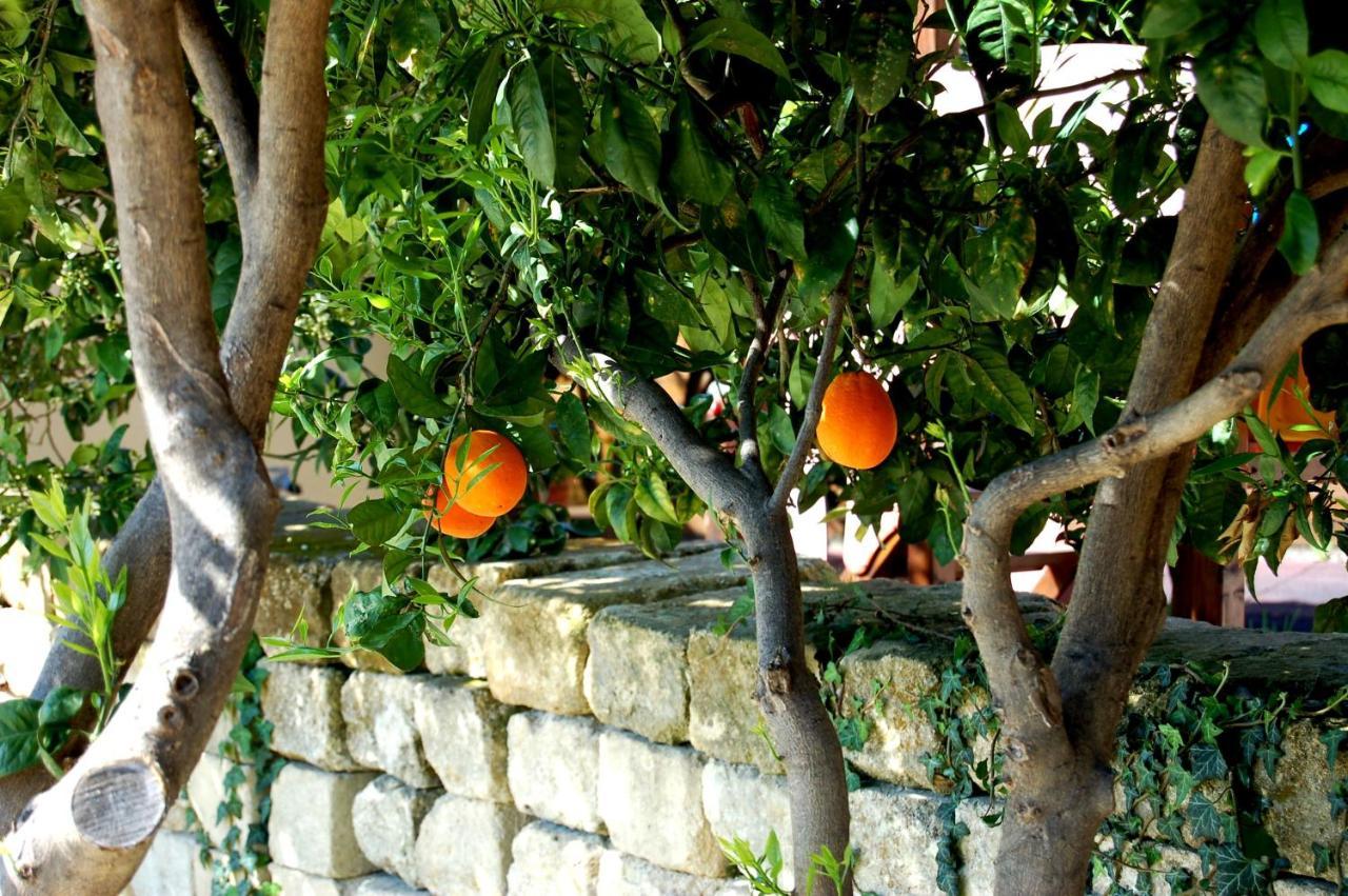 Willa Il Giardino Del Sole Agnone Bagni Zewnętrze zdjęcie