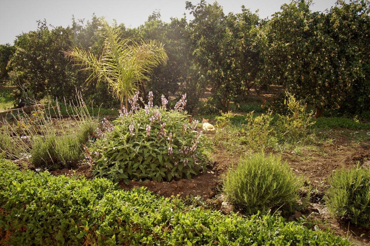 Willa Il Giardino Del Sole Agnone Bagni Zewnętrze zdjęcie